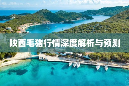 陕西毛猪行情深度解析与预测