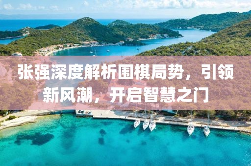张强深度解析围棋局势，引领新风潮，开启智慧之门