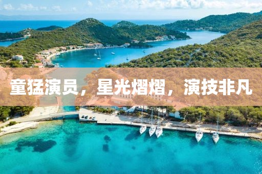 童猛演员，星光熠熠，演技非凡