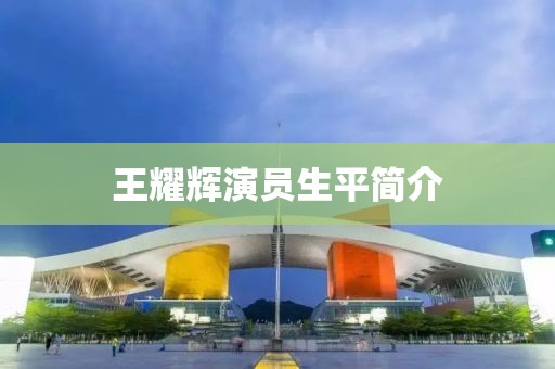 王耀辉演员生平简介
