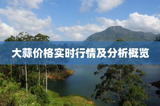 大蒜价格实时行情及分析概览