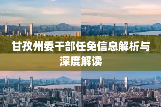 甘孜州委干部任免信息解析与深度解读