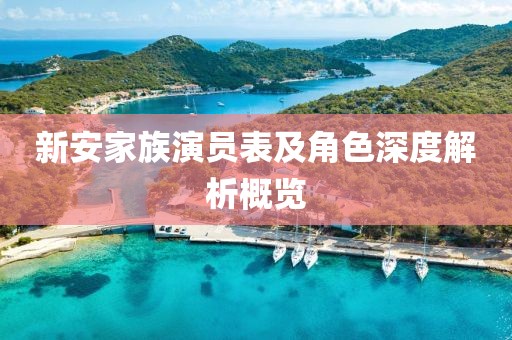 新安家族演员表及角色深度解析概览