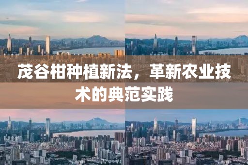 第2047页