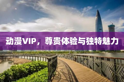 动漫VIP，尊贵体验与独特魅力