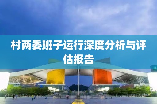 村两委班子运行深度分析与评估报告