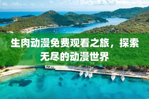 生肉动漫免费观看之旅，探索无尽的动漫世界