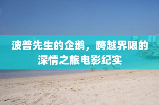 波普先生的企鹅，跨越界限的深情之旅电影纪实