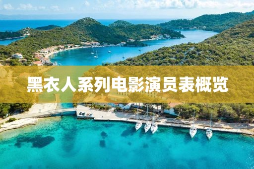 黑衣人系列电影演员表概览