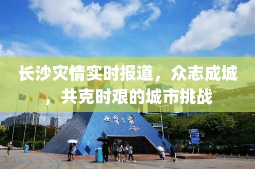 长沙灾情实时报道，众志成城，共克时艰的城市挑战