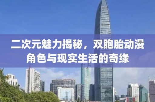 二次元魅力揭秘，双胞胎动漫角色与现实生活的奇缘