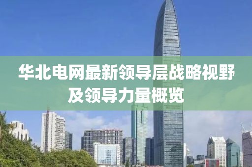 华北电网最新领导层战略视野及领导力量概览