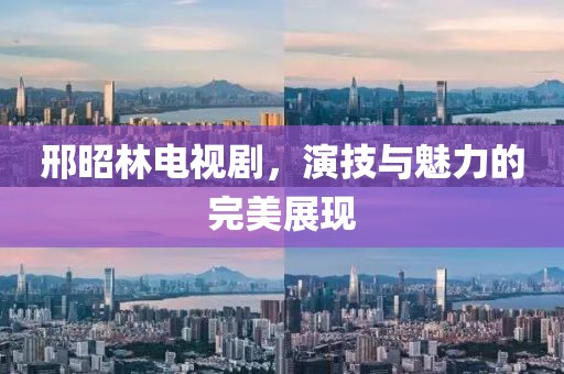 邢昭林电视剧，演技与魅力的完美展现
