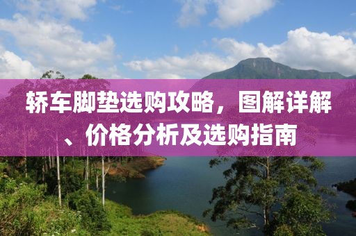 轿车脚垫选购攻略，图解详解、价格分析及选购指南