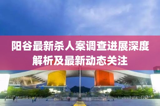 阳谷最新杀人案调查进展深度解析及最新动态关注