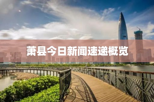 萧县今日新闻速递概览