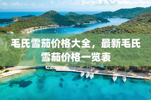 毛氏雪茄价格大全，最新毛氏雪茄价格一览表