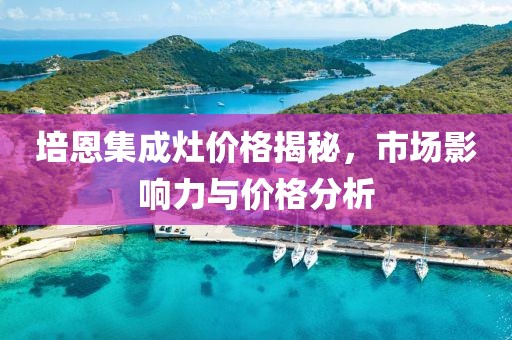 培恩集成灶价格揭秘，市场影响力与价格分析