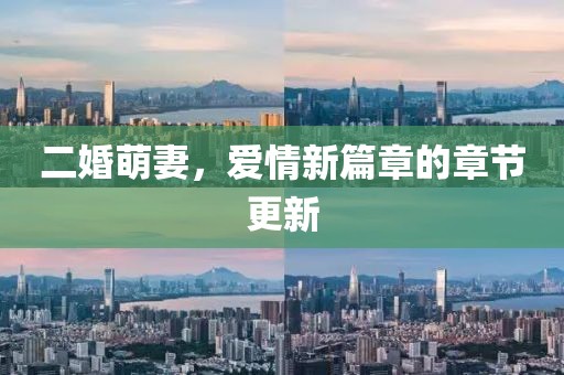 二婚萌妻，爱情新篇章的章节更新