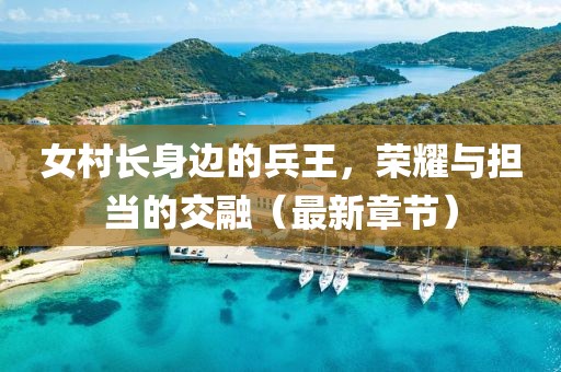 女村长身边的兵王，荣耀与担当的交融（最新章节）