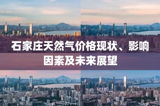 石家庄天然气价格现状、影响因素及未来展望