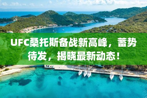 UFC桑托斯备战新高峰，蓄势待发，揭晓最新动态！