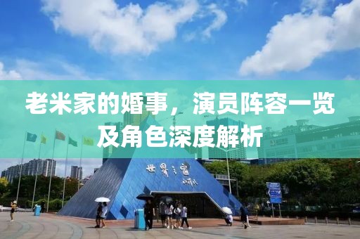 老米家的婚事，演员阵容一览及角色深度解析
