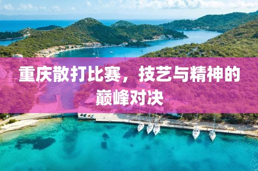 重庆散打比赛，技艺与精神的巅峰对决