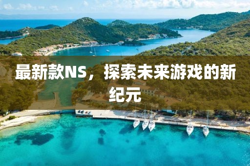 最新款NS，探索未来游戏的新纪元