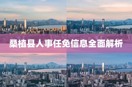 桑植县人事任免信息全面解析