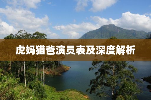 虎妈猫爸演员表及深度解析