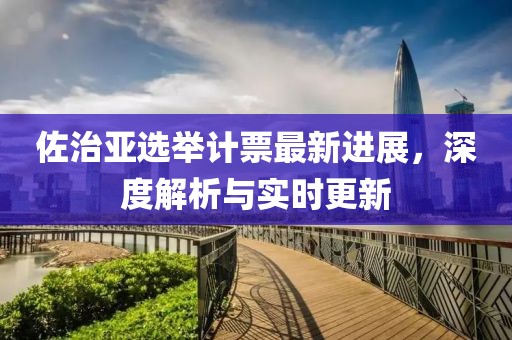佐治亚选举计票最新进展，深度解析与实时更新