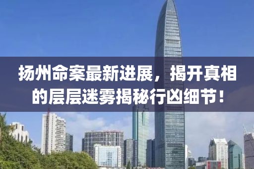 扬州命案最新进展，揭开真相的层层迷雾揭秘行凶细节！