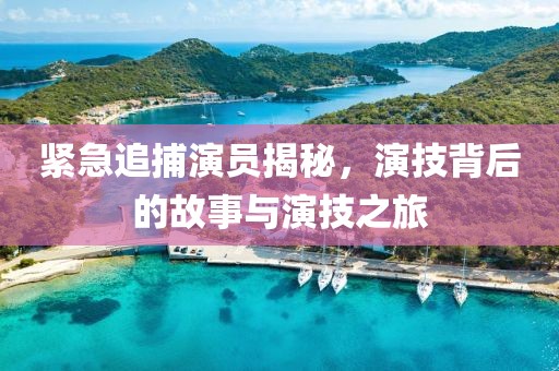 紧急追捕演员揭秘，演技背后的故事与演技之旅