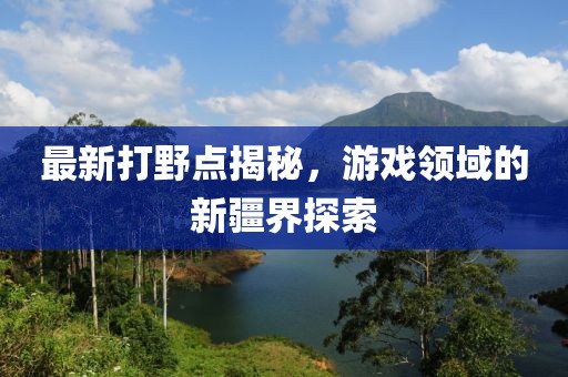 最新打野点揭秘，游戏领域的新疆界探索