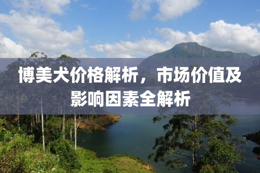 博美犬价格解析，市场价值及影响因素全解析