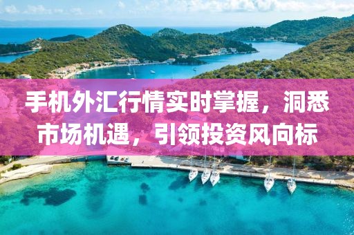 手机外汇行情实时掌握，洞悉市场机遇，引领投资风向标