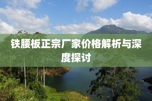 铁腰板正宗厂家价格解析与深度探讨