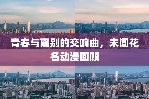 青春与离别的交响曲，未闻花名动漫回顾