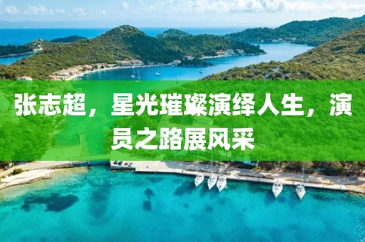 张志超，星光璀璨演绎人生，演员之路展风采