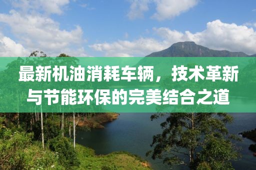 最新机油消耗车辆，技术革新与节能环保的完美结合之道