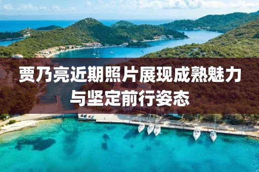贾乃亮近期照片展现成熟魅力与坚定前行姿态