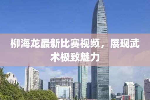 柳海龙最新比赛视频，展现武术极致魅力