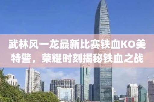 武林风一龙最新比赛铁血KO美特警，荣耀时刻揭秘铁血之战
