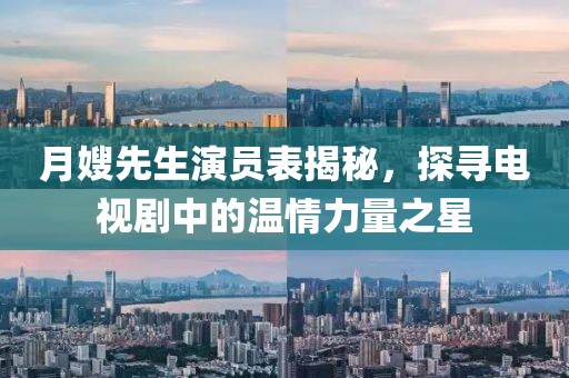 月嫂先生演员表揭秘，探寻电视剧中的温情力量之星
