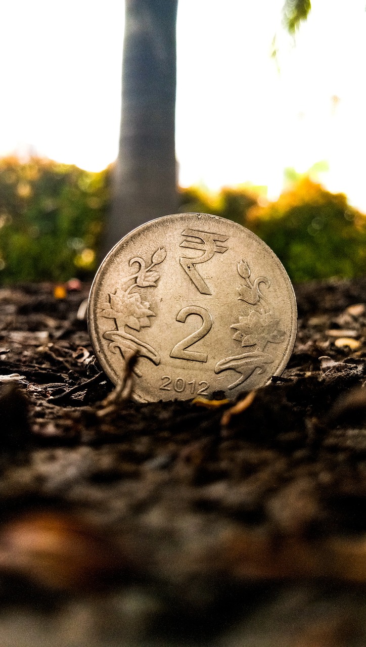 吉林新鲜资讯，探索东北之光的最新动态
