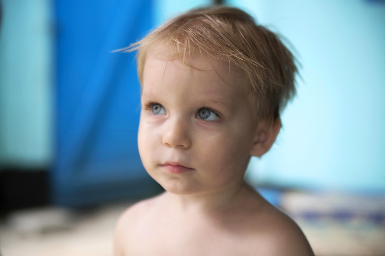 幼儿园故事比赛，孩子们的心灵之窗展现风采