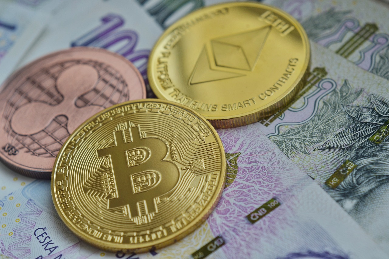 最新发行基金，投资新机遇与挑战来临
