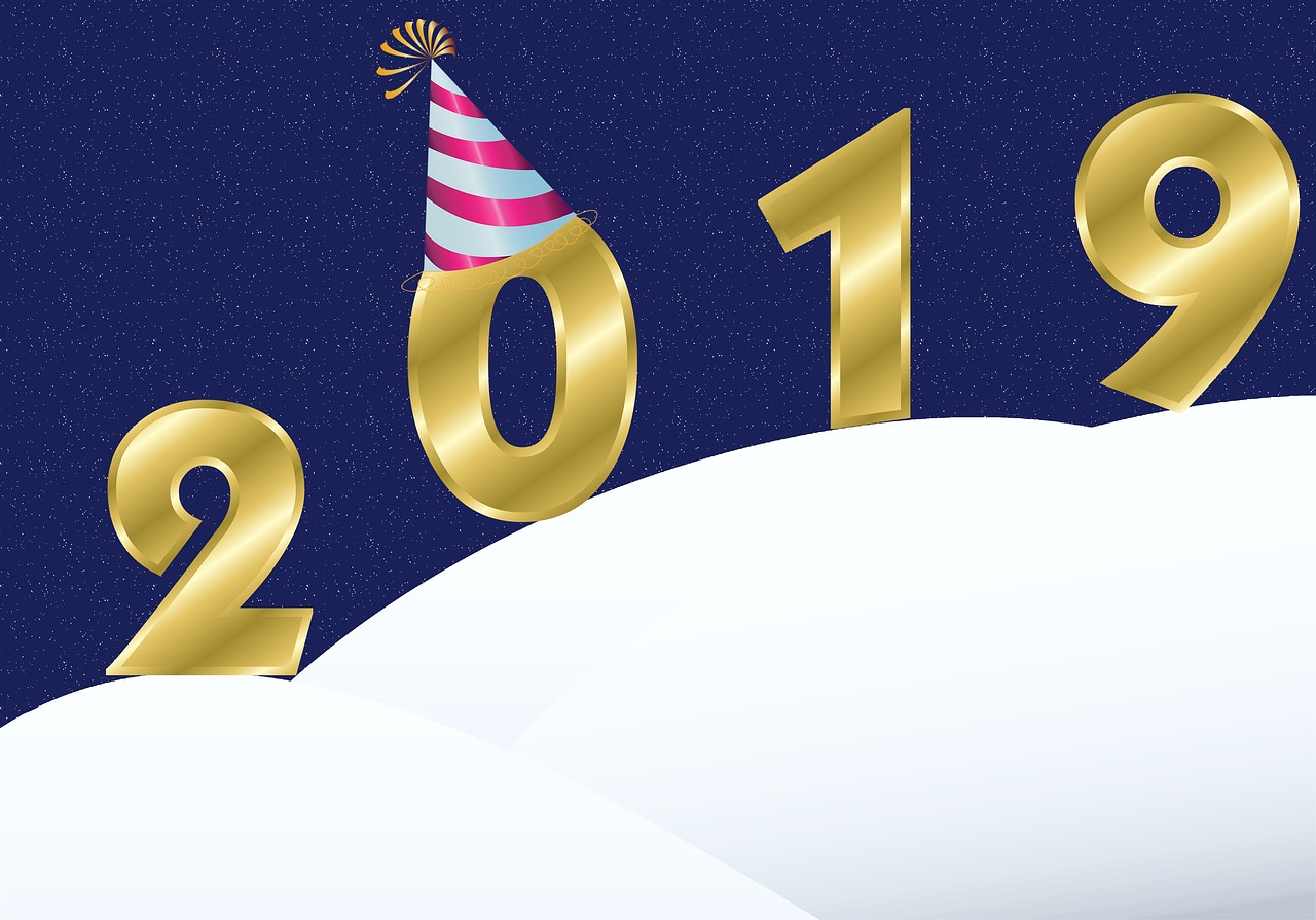 虞书欣赵志伟最新动态揭秘，星光下的新旅程启程！