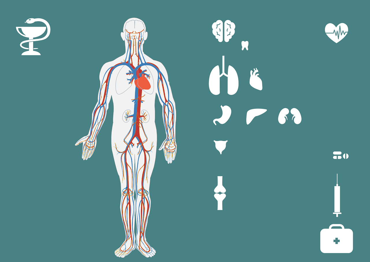 阴阳师最新官方版本深度解析与体验分享心得总结